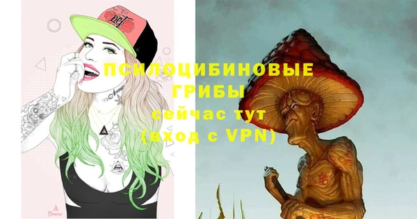 MESCALINE Аркадак