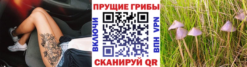 Псилоцибиновые грибы MAGIC MUSHROOMS  kraken маркетплейс  Верея  купить  сайты 